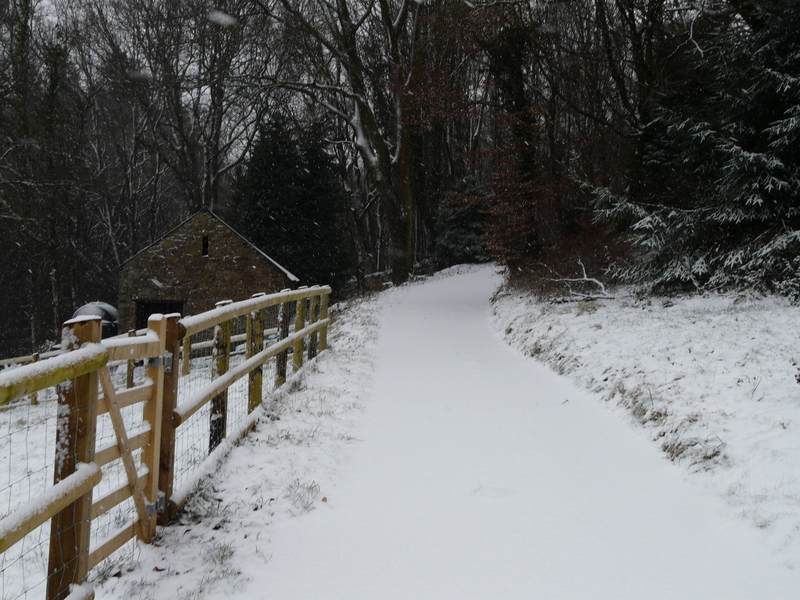 View up the drive, about a third of the way up