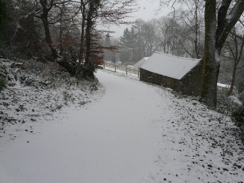 Looking down the really steep bit about half way