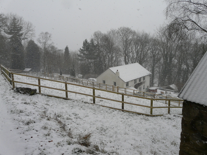 House and bottom field