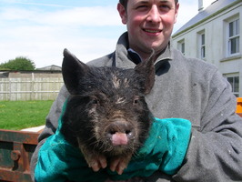Rich bonds with 'his' pig Phil