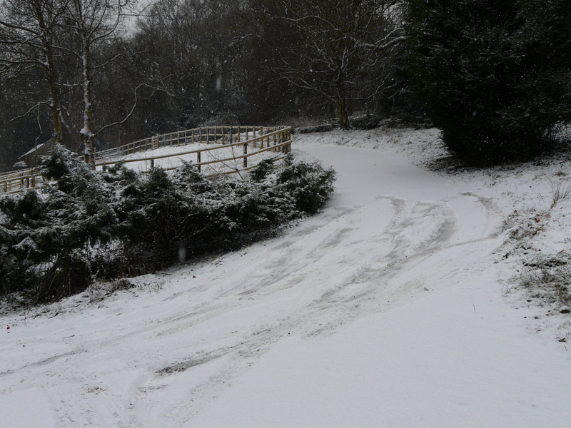 Tire tracks from failed attempt to leave